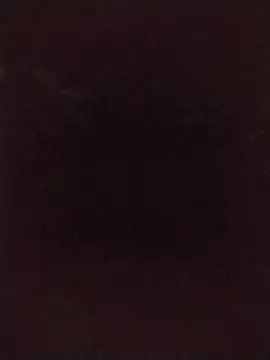 lmc-zz Live XXX-Chat