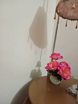 Tanha18 Adlı Modelin Canlı XXX Sohbeti