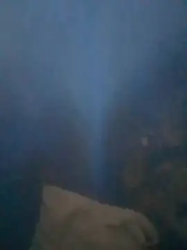 S7LEALTADPERVLIMA7 – Naživo XXX chat