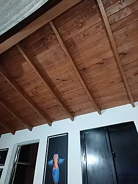 SilvaBranko's Live XXX Chat