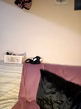 Chat +18 de lualviz ao vivo