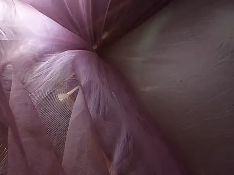Chat XXX Live Lily-ly