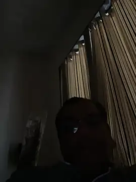 Show Webcam de maleattention
