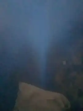 S7LEALTADPERVLIMA7 Webcam-Show