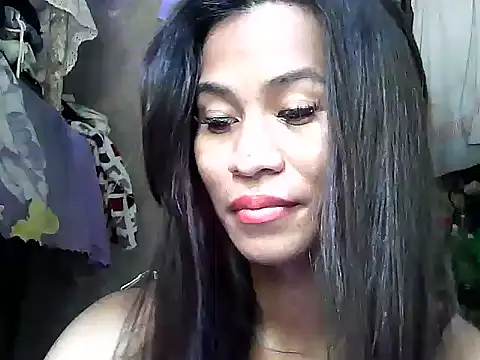 simplytrans webcam show