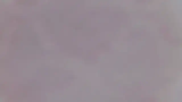 yang_12 现场XXX聊天