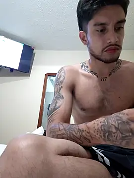 cardonackn Webbikameraesitys