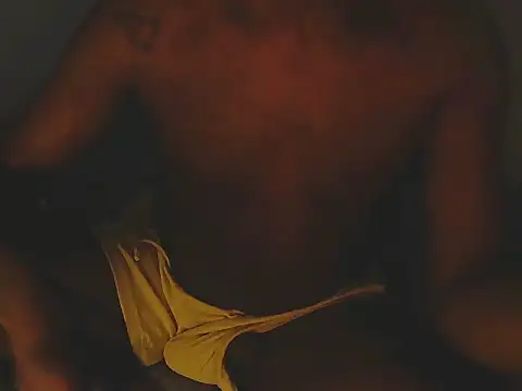 HoustonHOTboy Webcamshow