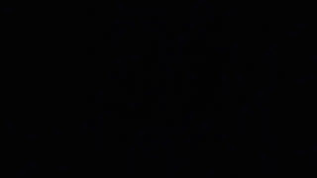 raven_n_matt webcam show