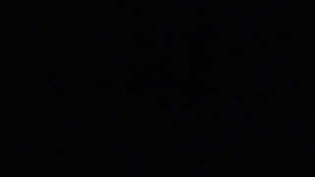 raven_n_matt webkamerás műsora