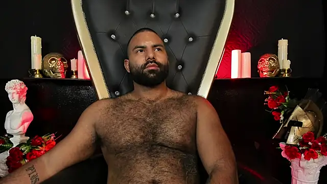 Show webcam de BeardAndrew