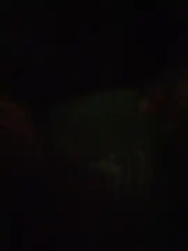 S7LEALTADPERVLIMA7 Pertunjukan Webcam