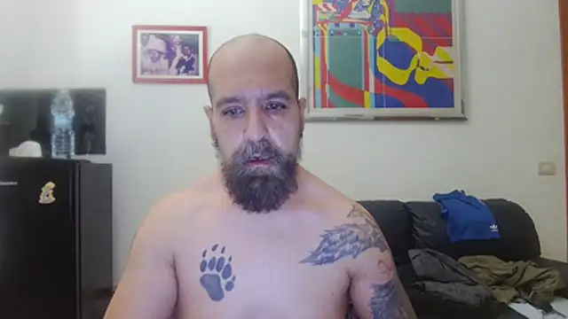 Show de webcam de AMIRDIB2025