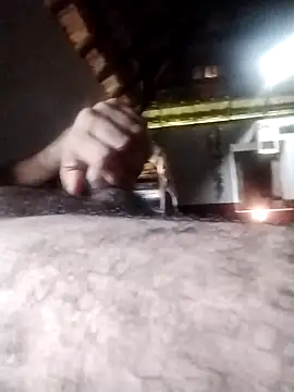 rajshank webkamerás műsora