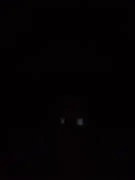 Chat XXX en directo de massive_cum