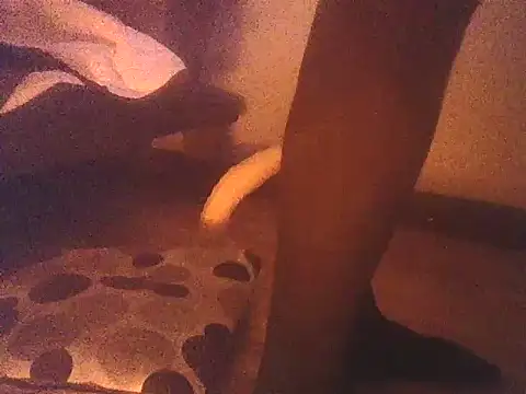 gatitarabiosad webcam show