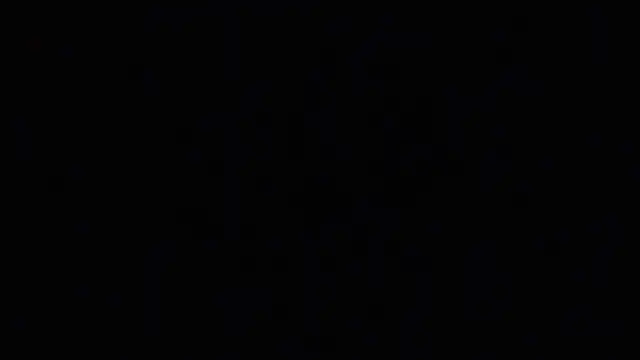 הופעת וובקאם של raven_n_matt