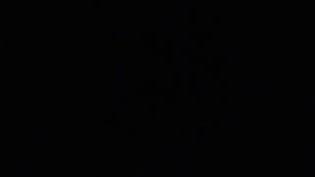 raven_n_mattn Webbikameraesitys