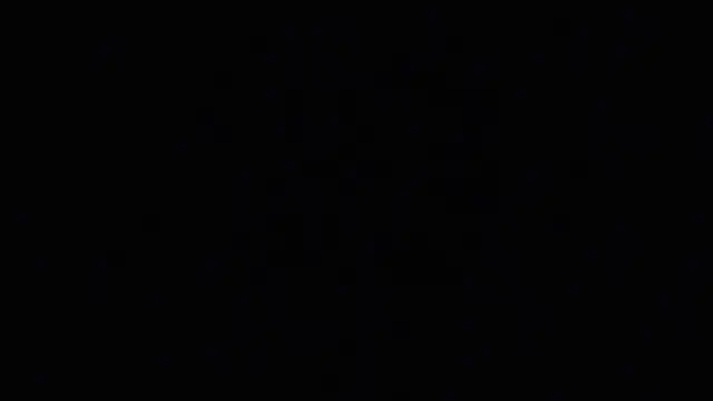 Pertunjukan Kamera Web raven_n_matt