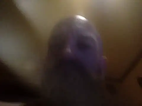 Show Webcam de cloudyDadcocks