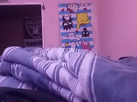 Show webcam de Blkstylion