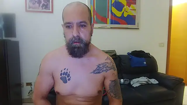 AMIRDIB2025 Chat XXX in diretta