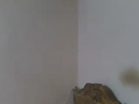 عرض كام elpoop7305