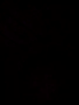 Docar01 Show in webcam