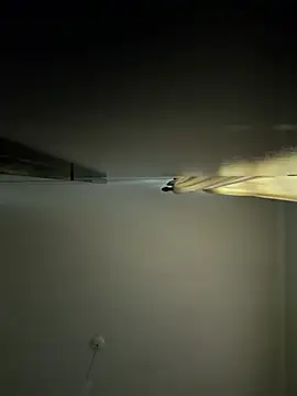 MeladoDiMel Pertunjukan Webcam