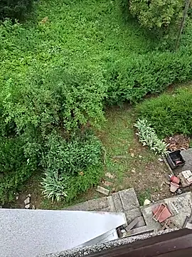 Chat XXX ao vivo de SvenPfeifer1987