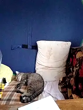Živý XXX chat Musical__fantasy