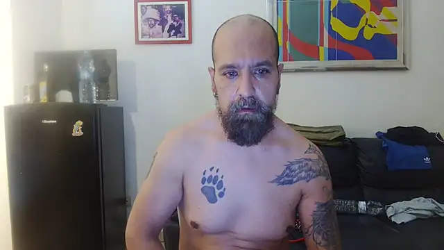 Chat XXX Live AMIRDIB2025