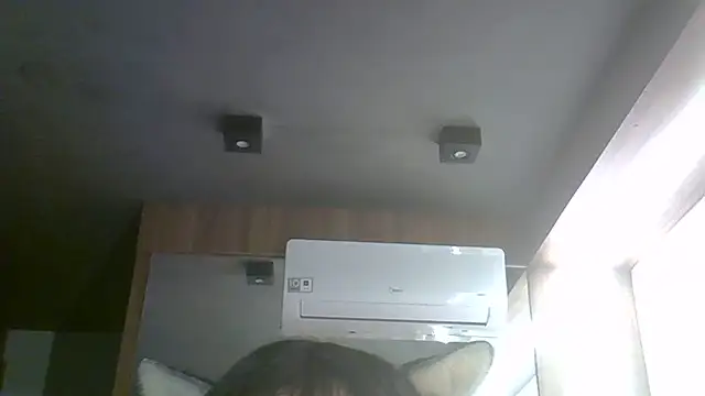 Chat XXX ao vivo de SkinnyKitten