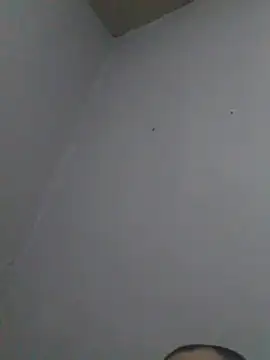 cobrosdepagos Pertunjukan Webcam