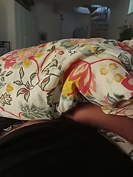 Show Webcam de fullystroked
