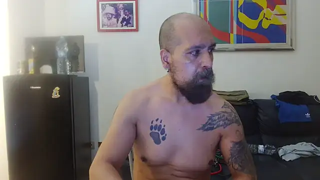 AMIRDIB2025 라이브 XXX 채팅