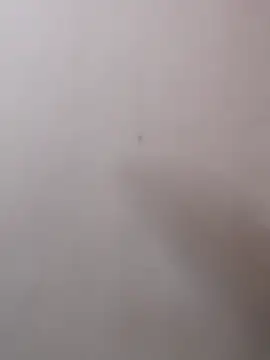 Živý XXX chat tamilammu1431