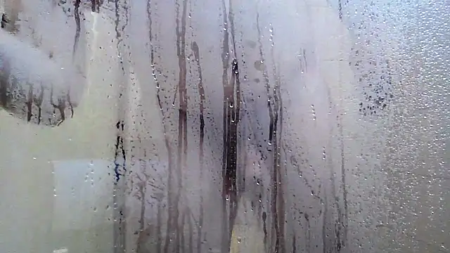 LicitInvader Webcam-Show