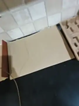 Show Webcam de singalguy12