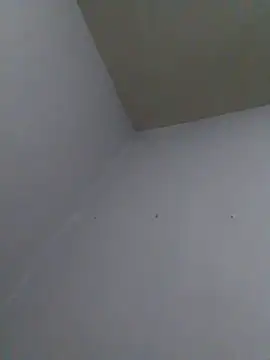 cobrosdepagos 라이브 XXX 채팅