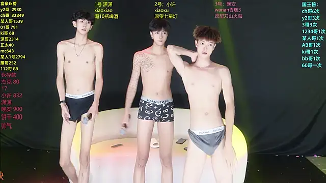 WildBoys-006 网络视讯表演
