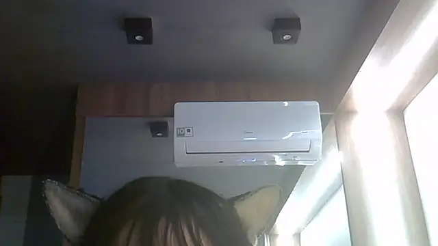 SkinnyKitten Show Webcam