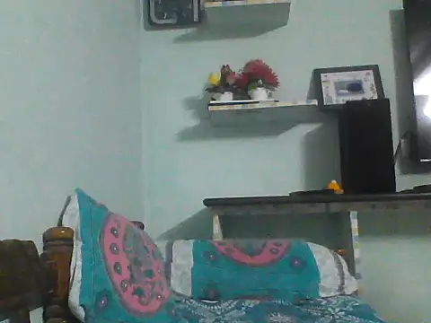 Foxboy65's Webcam Show