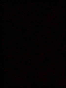 Webkamerová show Pichula_rica