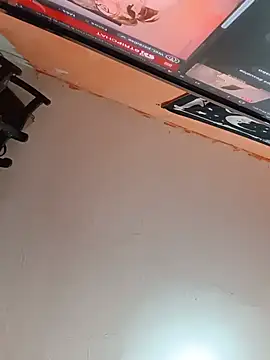 gogogogogigo webkamerás műsora