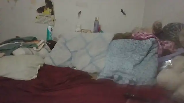 Chat +18 de paradisejas ao vivo