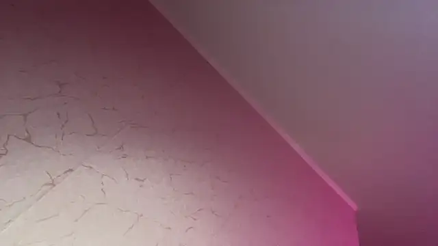 HolyCute Live XXX-Chat