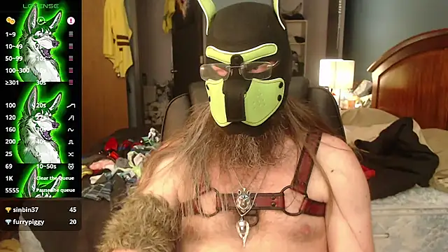 kinkywolf429 élő XXX-chatje