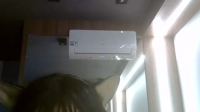 Chat +18 de SkinnyKitten ao vivo