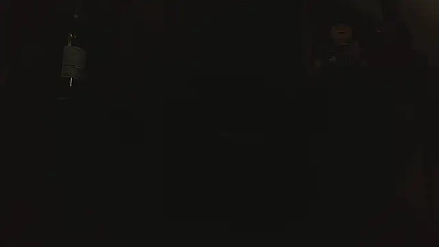 LunaTikka 现场XXX聊天